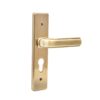 Mortise Lock Handle